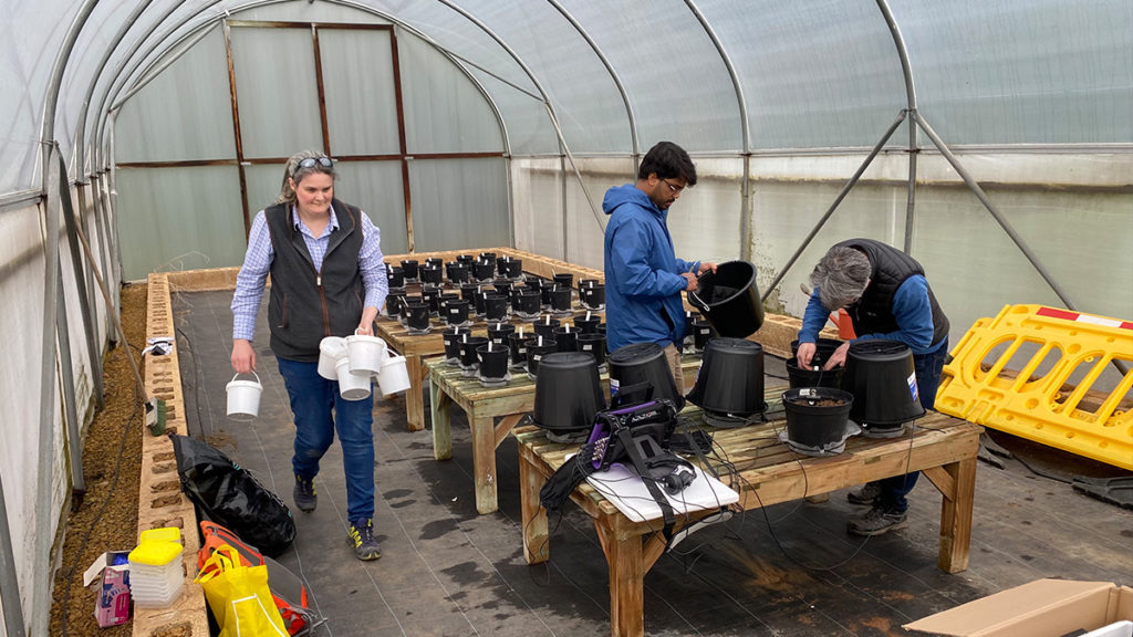 DEFRA-Funded Soil Ecoacoustics Project with University of Warwick Concludes