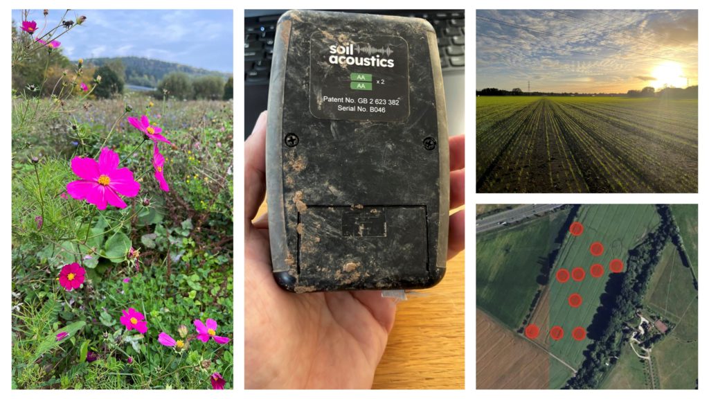 A Milestone Year for Soil Acoustics