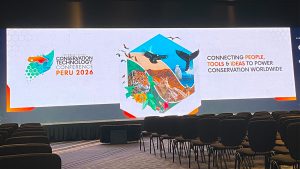 From Peru to London: Inside the Latest Conversations in Conservation Tech