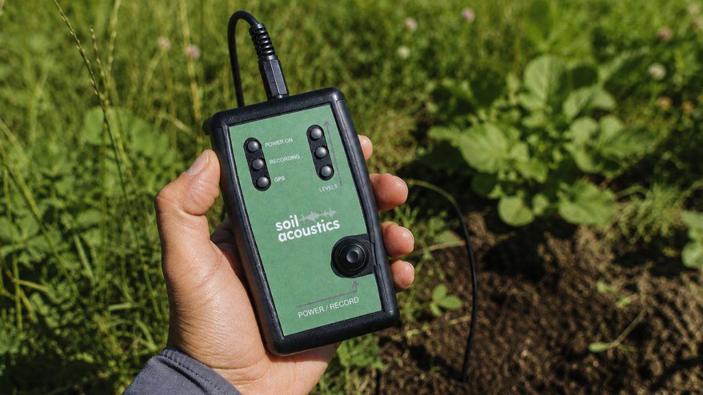 We Share Our Thoughts on Soil Acoustics in CIEEM’s In Practice