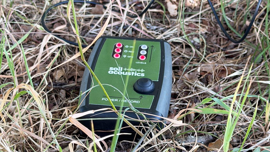 Soil Testing Tips for Better Recordings This Autumn